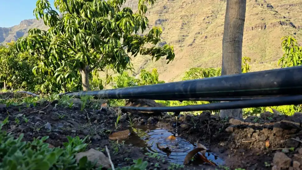 Gestión del agua