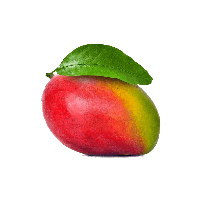 Mango Tommy Atkins